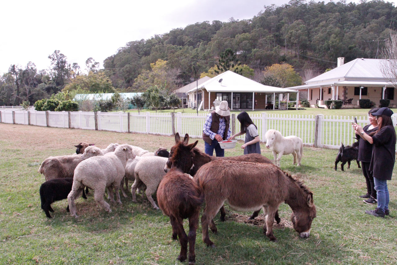 animalfeeding1